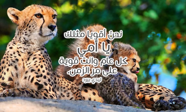 اجمل عبارات للأم في عيد الام