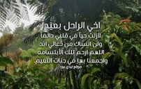 كلمات عن اخي المتوفي