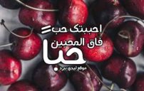 حالات واتس اب حب وغزل