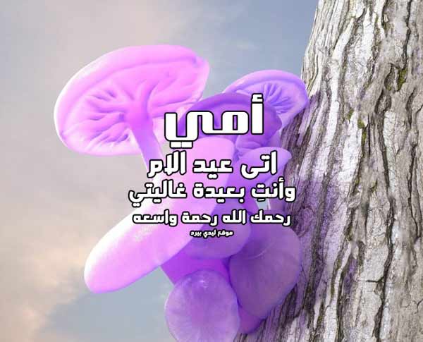 كلام عن عيد الام المتوفية