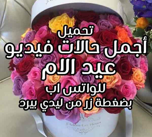 صور حالات فيديو عيد الام