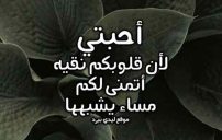 رسائل مسائية للواتس اب