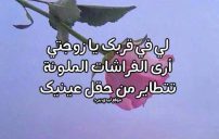 رسائل رومانسية لزوجتي