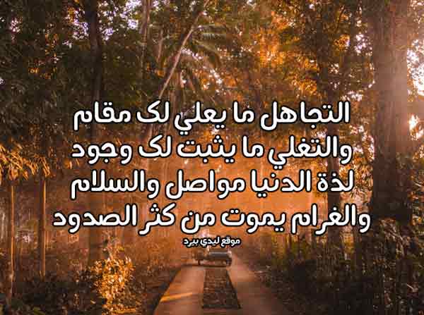 شعر عن التجاهل