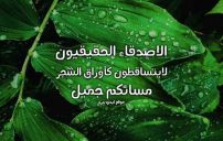 عبارات مسائية للأصدقاء