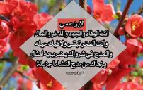 شعر مدح ابن العم