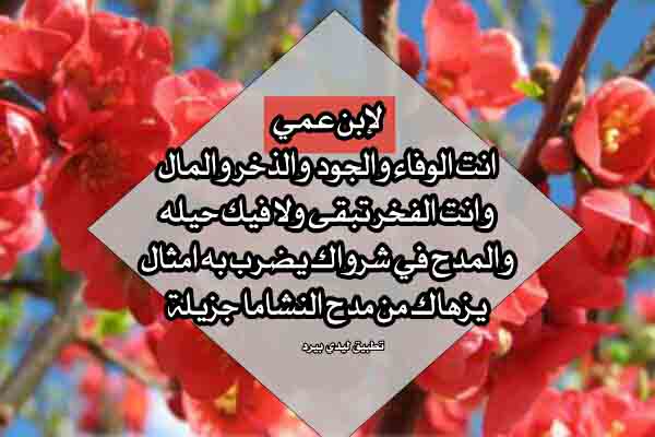 شعر مدح ابن العم