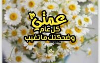 تهنئة عمتي بالسنة الجديدة