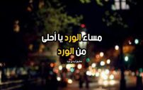 مساء الورد يا احلى من الورد