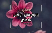 رسائل مدح حماتي