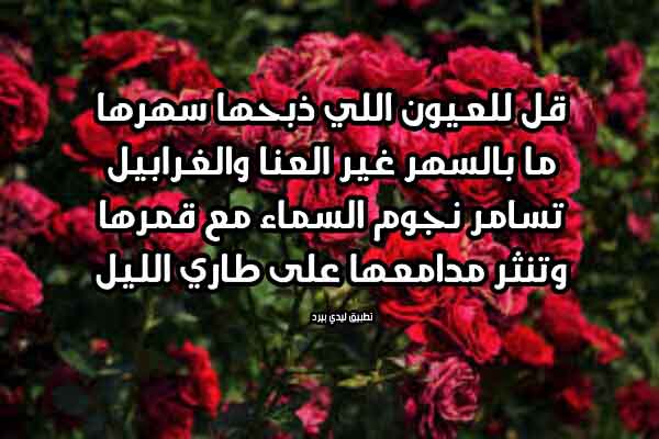 شعر حب حلو