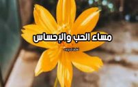 مساء الحب والاحساس