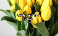 دعاء الانجاب بولد