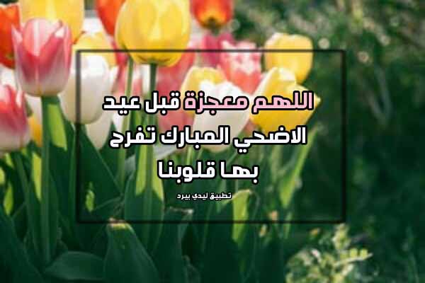 دعاء عيد الاضحى قصير