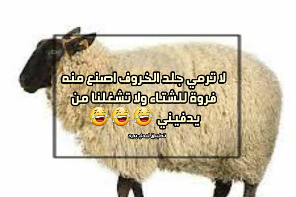 رسائل عيد الأضحى مضحكة