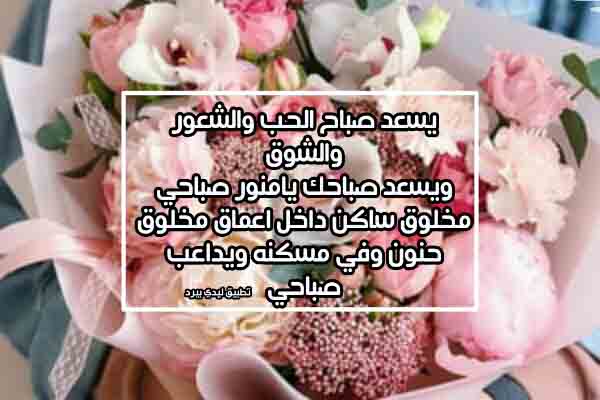 شعر صباح الحب