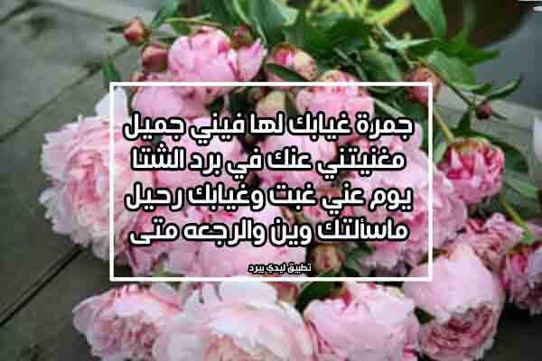 شعر عن الرحيل