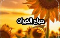 عبارات تهنئة صباح الخير