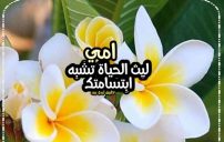 كلمات اهداء إلى أمي