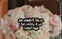 عبارات عن الصداقه