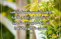 شعر مدح قصير