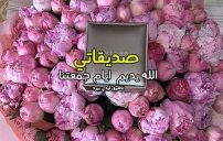 عبارات عن جمعة الصديقات