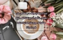 اقتباسات عن الصباح