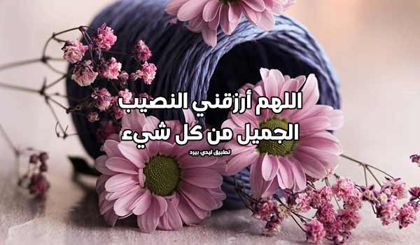 عبارات واتس اب حلوه