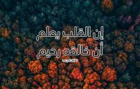 كلمات اسلامية للاصدقاء