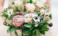 حالات ملكة للواتس