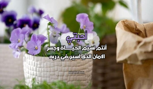 رسائل جميلة للاحباب