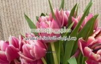 رد على كلمة لبيه