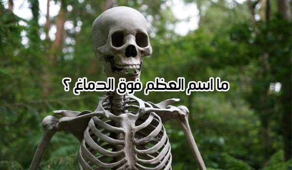 أسئلة صعبة مع الجواب 2