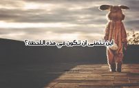 أسئلة محرجه لصديقي