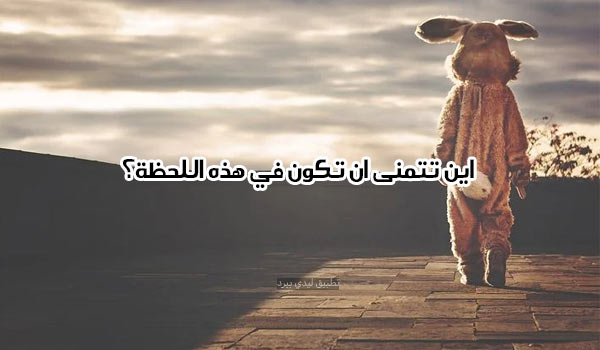 أسئلة محرجه لصديقي