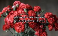 رسائل دعاء عيد الأم لأمي