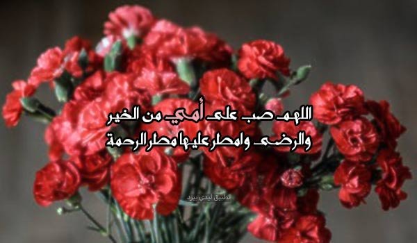 رسائل دعاء عيد الأم لأمي