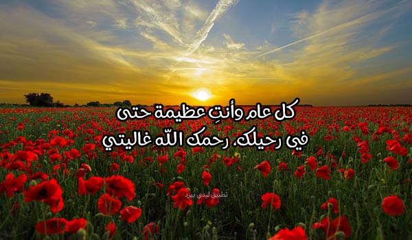 كلمات في عيد الأم لمن فقد أمه