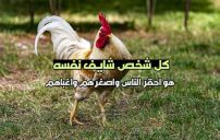 كلام عن اللي شايف نفسه