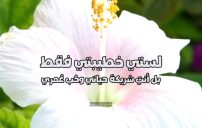 صور حب خطيبتي