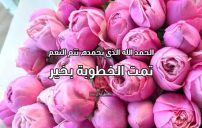 عبارات إعلان خطوبة