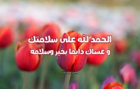 رسائل الحمد لله على سلامتك