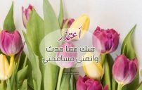 نص رسالة اعتذار