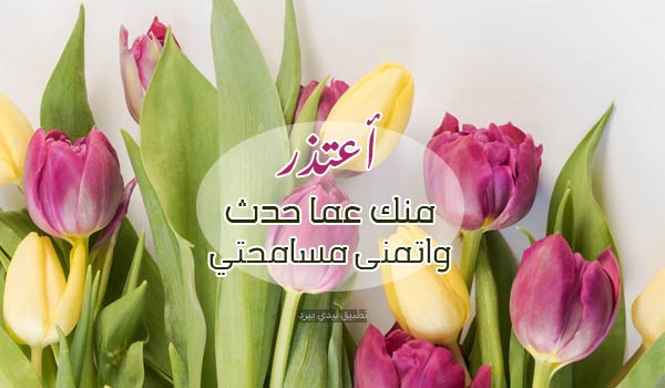 نص رسالة اعتذار