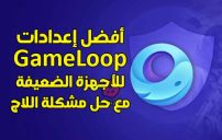 أفضل إعدادات GameLoop