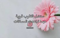 صور وداع مدير متقاعد