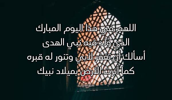 صور للاب المتوفي في المولد النبوي