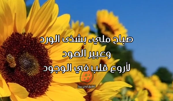 رسائل صباح الخير جديدة