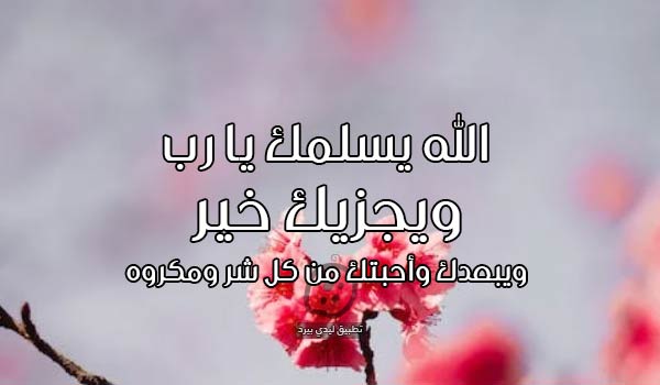 الرد على سلامتك من كل شر