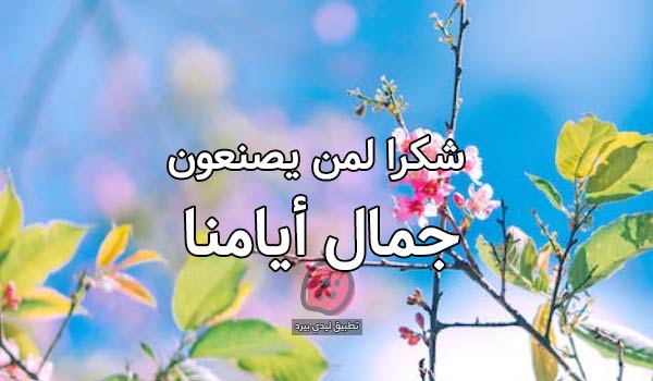 صور شكرا لمن يصنعون يومنا